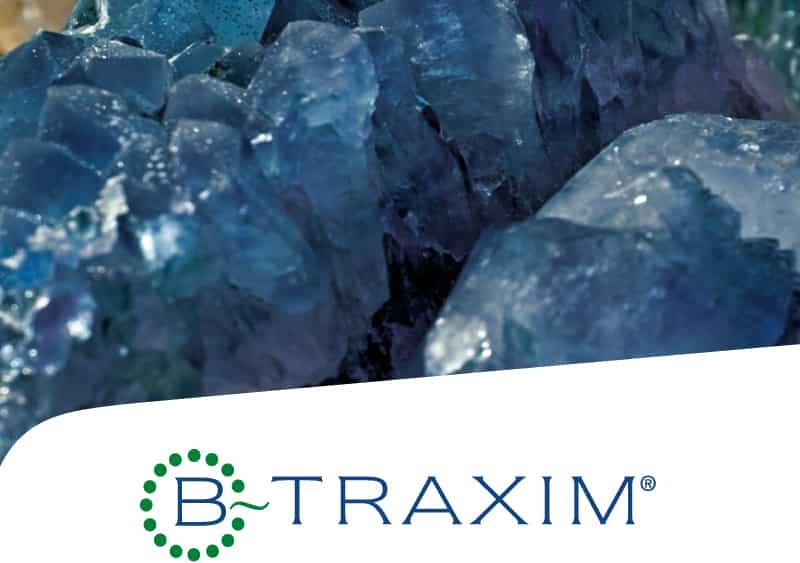 btraxim